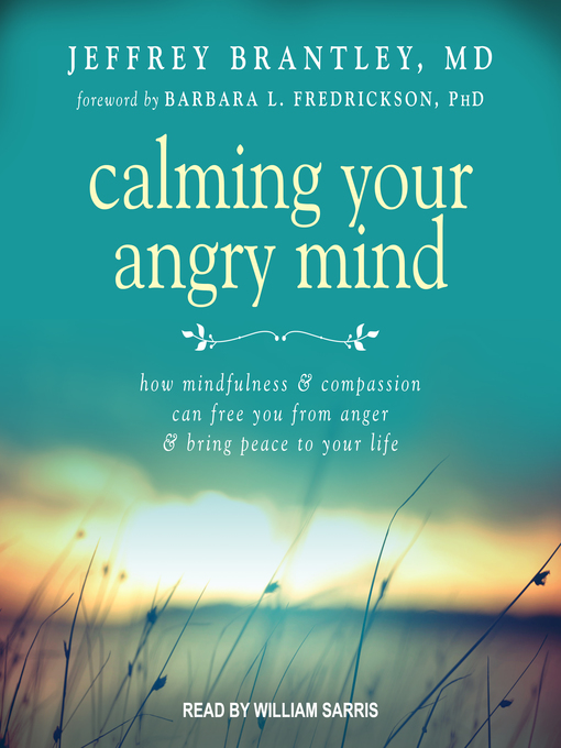 Title details for Calming Your Angry Mind by Jeffrey Brantley, MD - Wait list